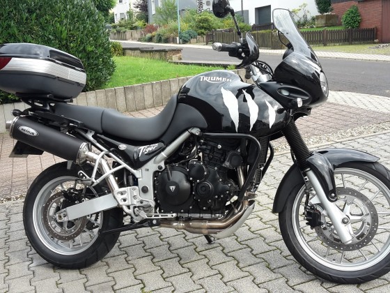 Eine der letzten Triumph Tiger von Erstzulassung 2007